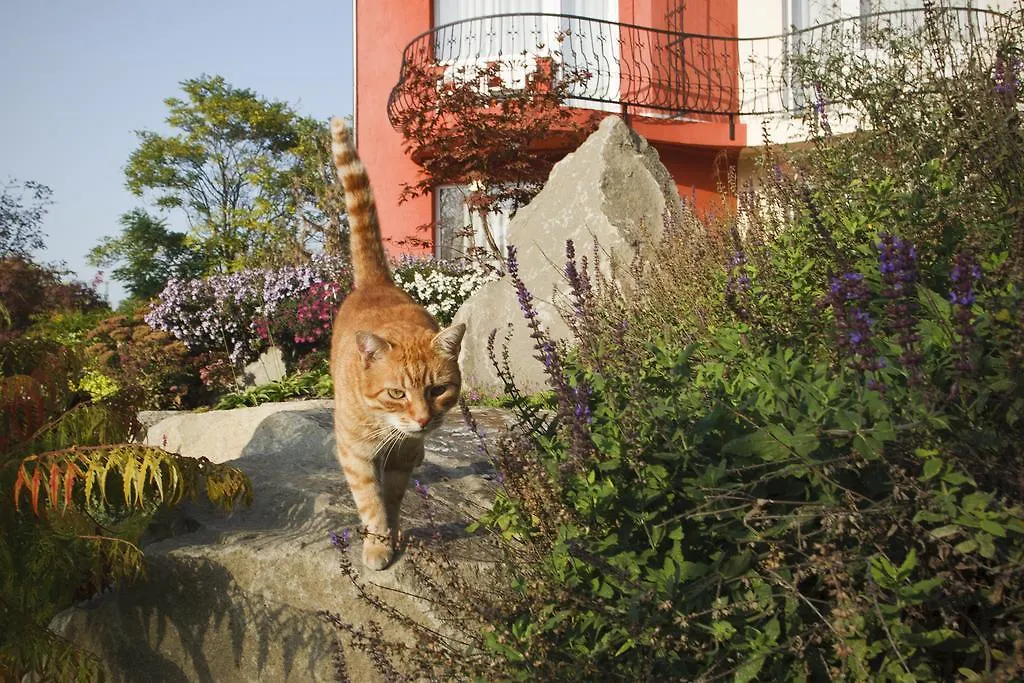 Szonyi Garden Hotel Pest Budapešť 3*,  Maďarsko