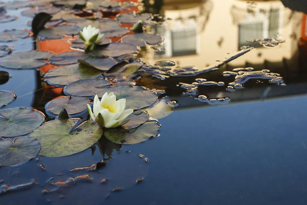 ***  Szonyi Garden Hotel Pest Budapešť Maďarsko