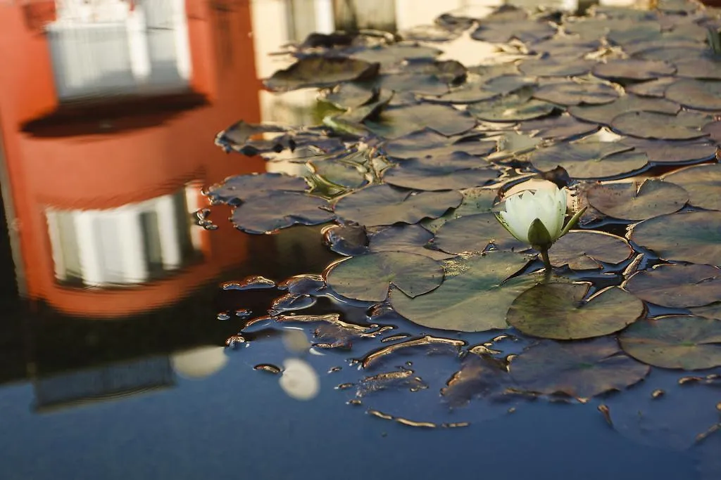 Szonyi Garden Hotel Pest Budapest Ungern